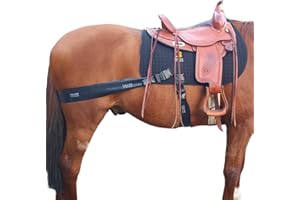 Equine Band System Western - Equine core conditioning training aid for horses with pro grade physio bands and saddle pad by E