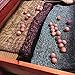 Cedar Space Cedar Blocks for Clothes Storages, 50 Pcs 100% Aromatic Red Cedar Balls, Cedar Accessories for Closets Storages
