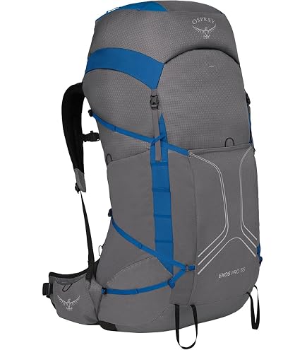 Osprey Aether 55L Men's Backpacking Backpack, Garlic Mustard Green, L/XL : Sports & Outdoors