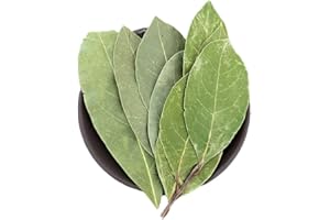 Bay Leaf,Myrcia,Myrciariagenus,Myrciaria,Laurel Leaf,yueguiye,Laurus Nobilis,Bayleaf,Bay Leaves,lambkill,bayleaves,Laurel Lea