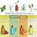 YIDIOLA Top 10 Essential Oils Set, 100% Pure Lavender,Peppermint,Eucalyptus,Tea Tree,Rosemary,Lemongrass,Sweet Orange,Sandalwood,Jasmine,Grapefruit Oils, w/2 Glass Droppers