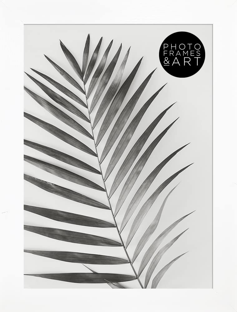 pf+a REAL GLASS A5 White Picture Frame - A5 (14.8x21cm) White Photo Frame / A5 Frame