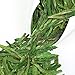 ELITEA Green Tea Loose leaf Quality Dragon Well Xi Hu Long Jing China Famous Green Tea Bulk 7.1 Ounce