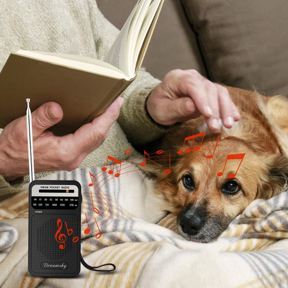 DreamSky Pocket Radios, Battery Operated AM FM Radio with Loud Speaker, Great Reception, Earphone Jack, Ideal Gifts for Elderly, Portable Transistor Radio for Walking, Camping: Home Audio & Theater