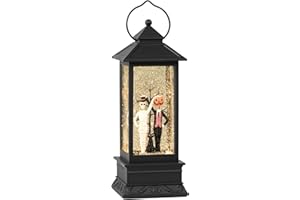 ARMXY Halloween Snow Globes, Skull and Black Cat Scene Snow Globes, Glittering Lantern with Timer, Snow Globe Lantern USB or Battery Powered for Halloween Decor