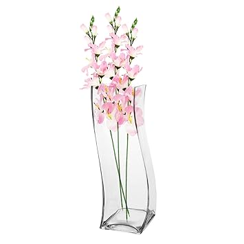 Buy Kapdholia S Shape Glass Vase Centerpiece Flower Vase For