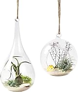 Mkouo 3 Pack Glass Hanging Planter Terrarium Vase for Succulents & Air Plants view 4