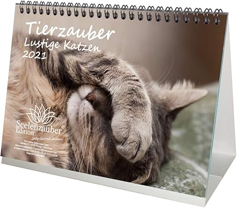 Calendario Da Tavolo Con Gatti Divertenti Formato Din A5 Per 21 Momenti Divertenti Con Gatti Set Regalo 1 Biglietto Di Auguri E 1 Biglietto Di Natale Seelenzauber Amazon It Cancelleria E Prodotti Per Ufficio