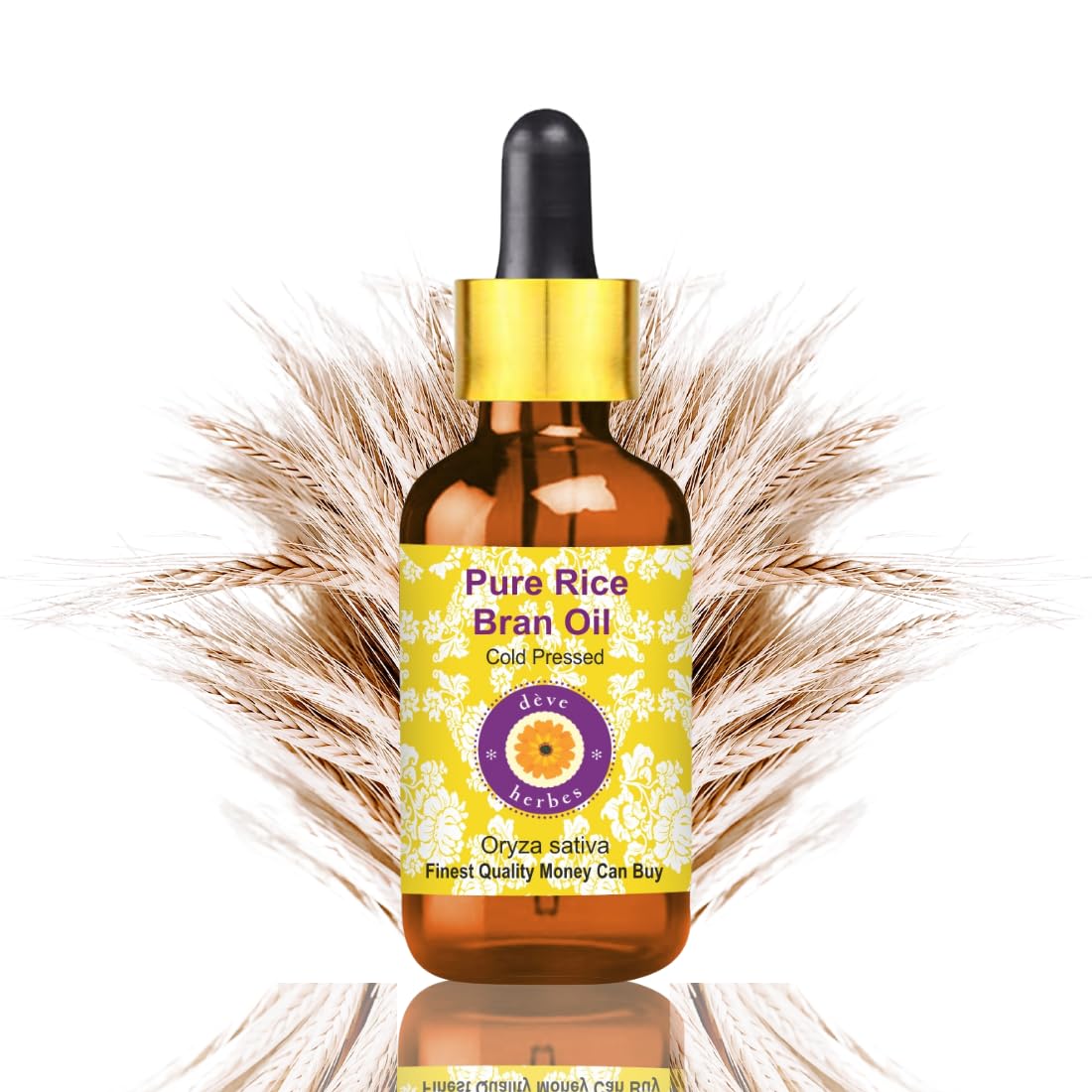 Deve Herbes Pure Rice Bran Oil (Oryza sativa) Non-Sticky | Non-Greasy | For Skin, Hair, Massage & DIY Use | 50ml with Glass Dropper