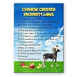 Chinese Crested Property Laws Fridge Magnet