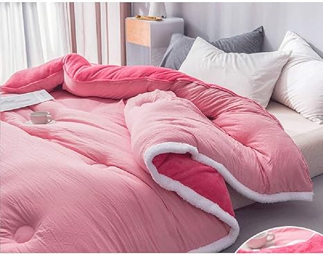 Flannel Down Comforter Duvet Soft Fluffy Lamb Cashmere Comforter
