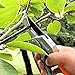 Morrita Ratchet Hand Pruning Shears Anvil Garden Clippers Tree Trimmers Secateurs Great for Weak Hands, 3/4″ Cutting Capacity (Orange)thumb 4