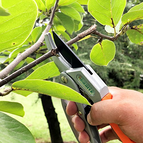 Morrita Ratchet Hand Pruning Shears Anvil Garden Clippers Tree Trimmers