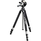 SLIK Pro 700 DX Tripod with 700DX 3-Way, Pan-and-Tilt Head - Titanium