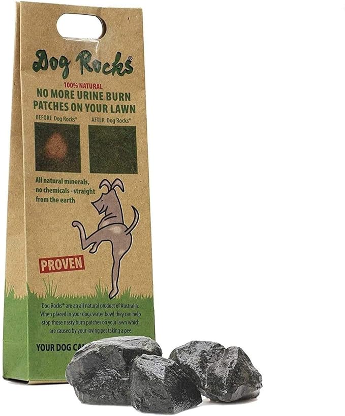 what are dog rocks