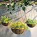 HOUSWOUKER Hanging Planter Hanging Flower Basket 2Pack with Coco Coir Liner Metal Chain 12inch Round Wire Plant Growers Holder Flower Pots Hanger for Indoor Outdoor Garden Porch Decoration