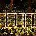 Solar Lights, AGPtEK 13m/42.6FT 100LED Curtain Lights for Indoor/Outdoor Decorations/Garden/Patio/Party - 2400mah High Capacity Battery - 8 Modes - Warm White