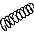 Rayson 5/16" Plastic Spiral Binding Coil, 40 Sheets Capacity, 4:1 Pitch 7.9mm Black Coil Binding Spines for Business and Educational Purposes, Pack of 100