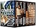 Cowboy, Yours (Cowboy, Mine Book 2)