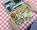 PlanetBox ROVER Eco-Friendly Stainless Steel Bento Lunch Box with 5 Compartments for Adults and Kids - Purple Carry Bag with Fairies Magnets