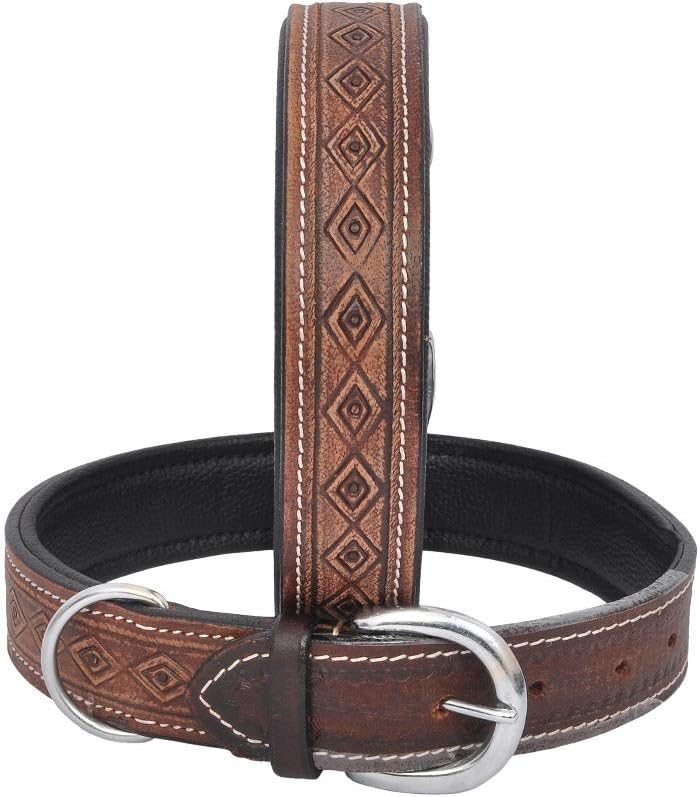 Wonder Wish Padded Brown Leather Dog Collar for Small Medium Large Dogs