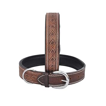 Wonder Wish Padded Brown Leather Dog Collar for Small Medium Large Dogs