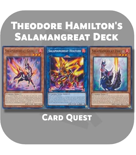Amazon.com: Complete Custom Deck for Yu-Gi-Oh! VRAINS - Playmaker