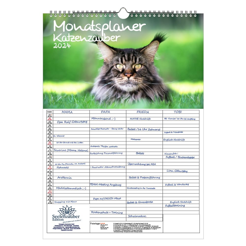 Katzenzauber Wall Planner Family Planner 4 Column Planner A3 Calendar for 2024 Cats and Cats - Seelenzauber