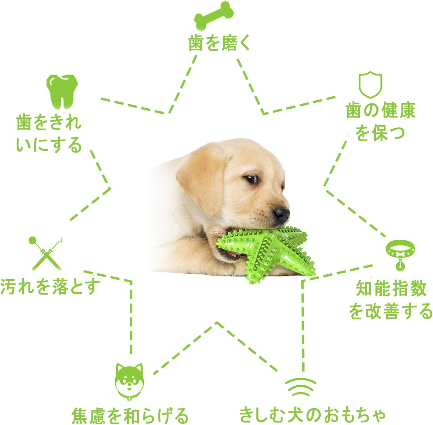 Amazon 犬の歯ブラシ 強力な噛み付きモル 犬の噛むおもちゃ 犬の掃除と看護の歯 グリーン Gerneric 噛むおもちゃ 通販