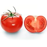 Early Goliath Tomato 45 Seeds - Perfect Shape!