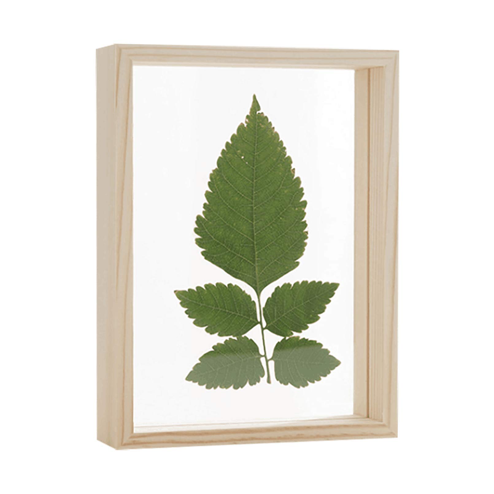 Double Sided Acrylic Glass Plant Photo Frame Plant Specimen Wood Frame for Dried Flower Plants Room Desktop Decoration Light Wood