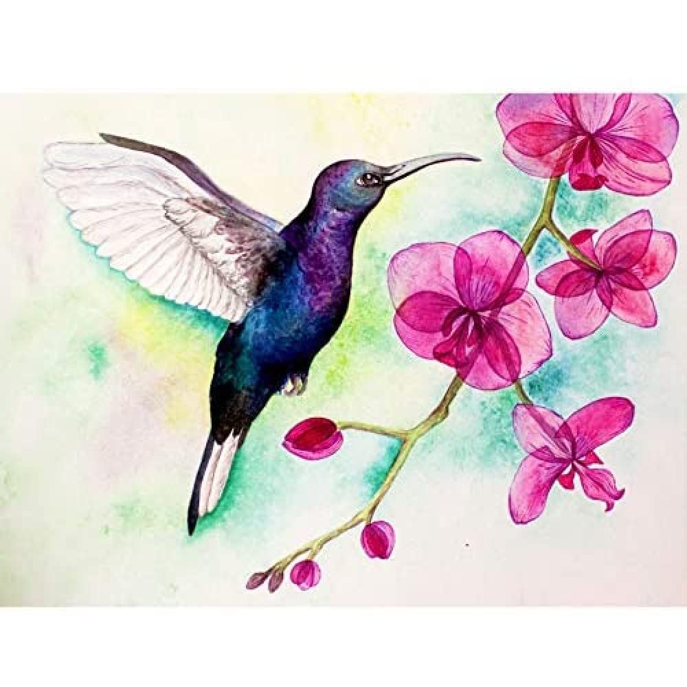 Wee Blue Coo Hummingbird And Orchid Art Print Canvas Premium Wall Decor Poster