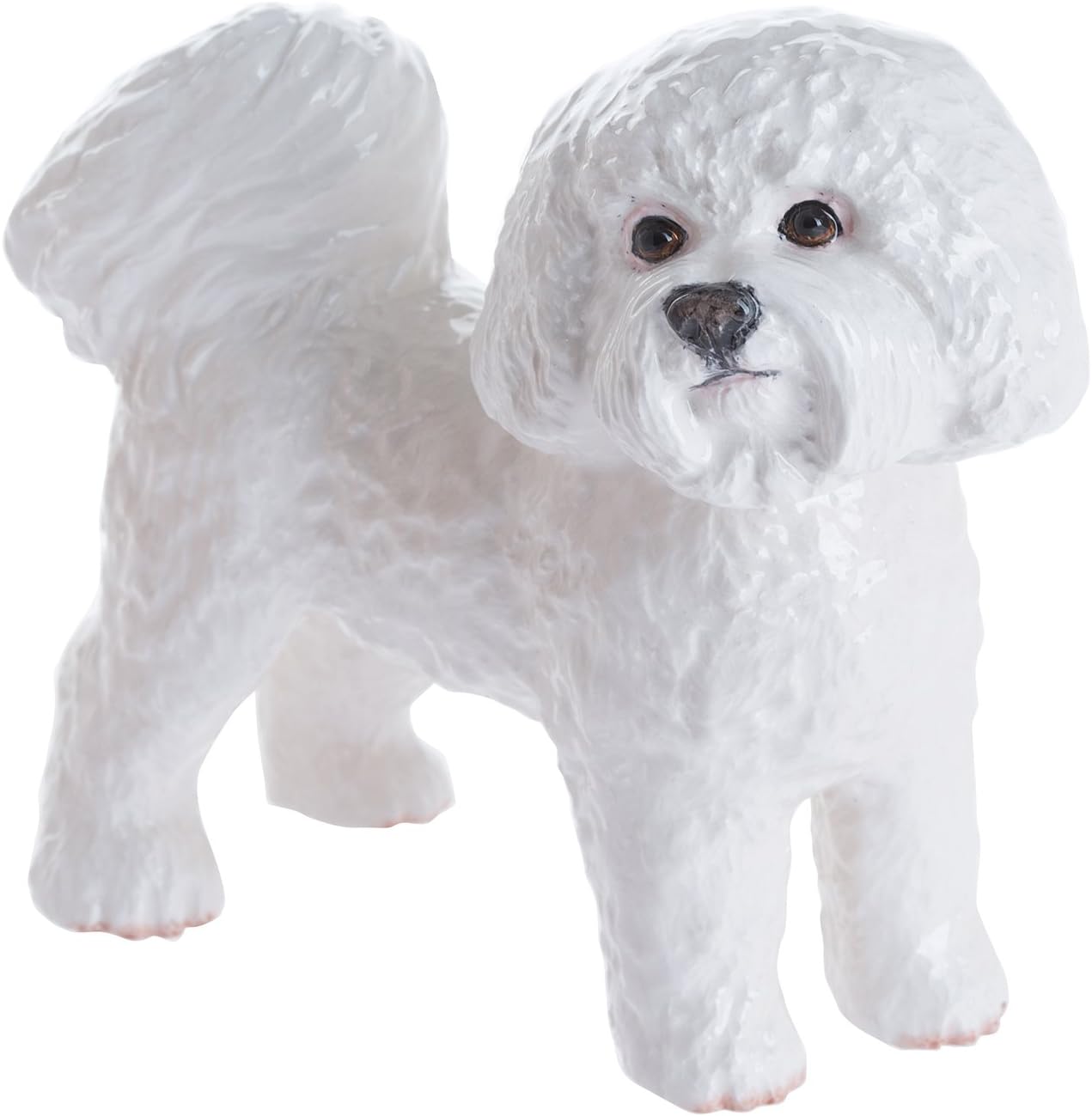 bichon frise grey and white