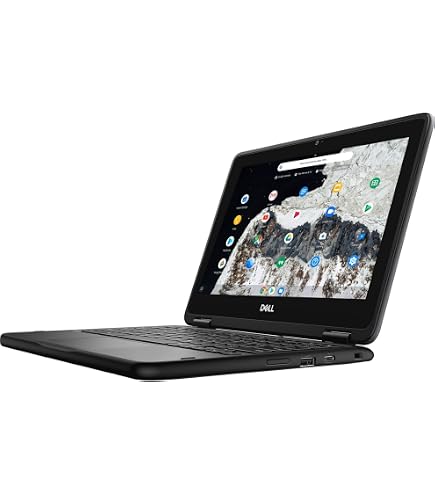Amazon.com: Asus Chromebook Flip Cr1 Cr1100fka-yz182t 11.6