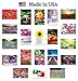 FLOWERS postcard set of 20. Post card variety pack with floral and garden theme postcards. Made in USA.