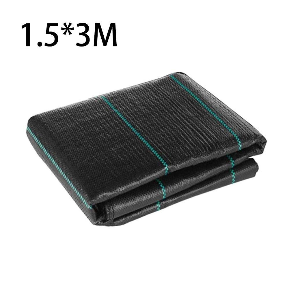 100 years of flight beanie baby