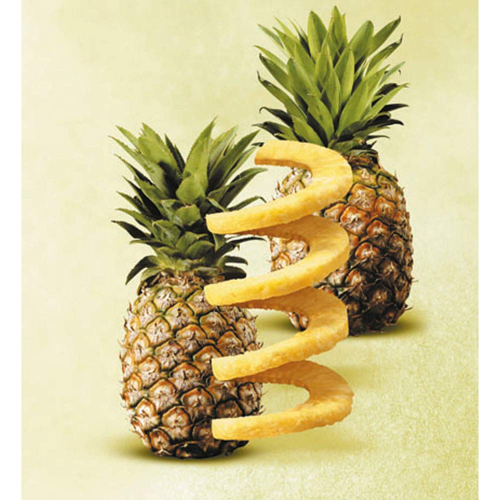 Gefu Professional Plus Ananasschneider Professional Plus Ø 85 mm ...