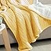 NTBAY Cotton Oversize Cable Knit Sherpa Twin Blanket for Couch (60