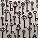 48PCS Antique Mini Collection Skeleton Keys (Copper)