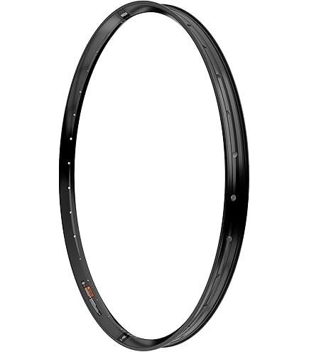 Amazon.com: DT Swiss E 550 Rim - 700, Disc, Black, 28h | E550