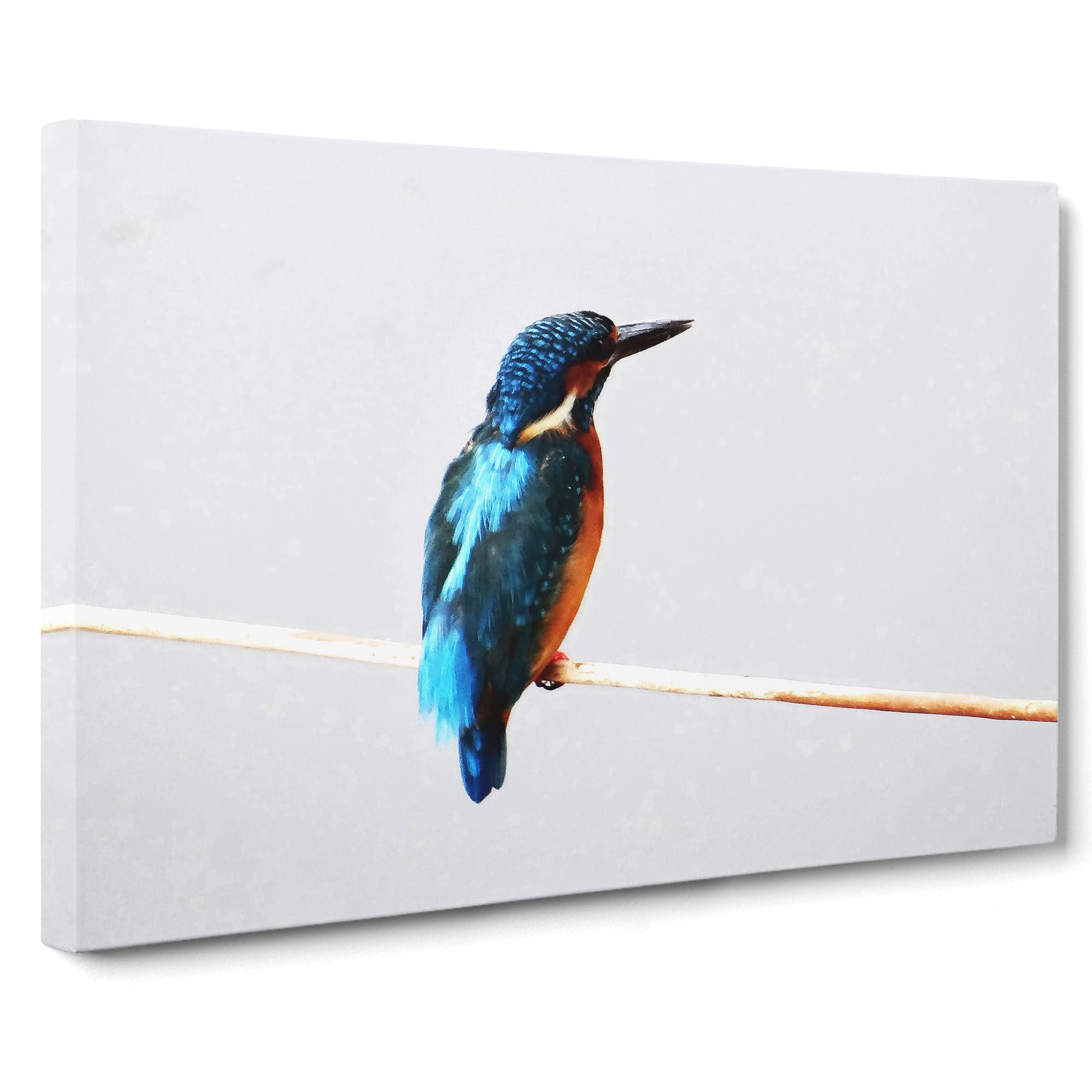 Kingfisher Vol.2 Canvas Print | Gallery Wrapped 30mm Frame Wall Art | 20x14 inches | Ready to Hang | Modern Bird Picture | Living Room Bedroom Lounge Office