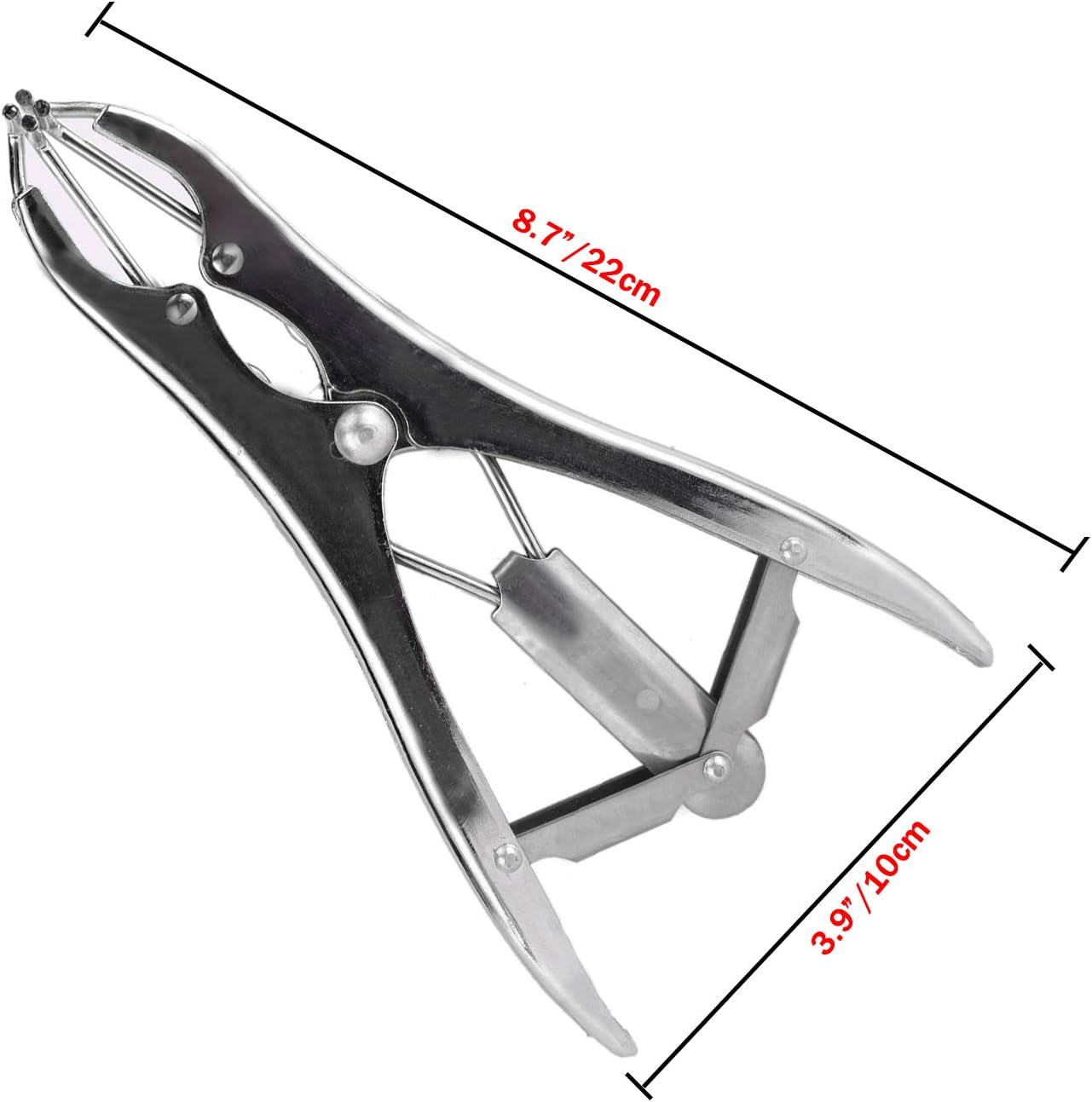 Callicrate Castration Bands - 25 Pack Livestock Castration Tool