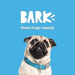 Barkbox 2 in 1 Interactive Plush Dog Toy - Rip and