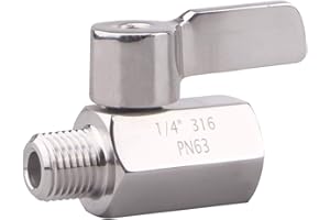 DERNORD 1/4 inch Stainless Mini Ball Valve NPT Female x Male Thread SUS316
