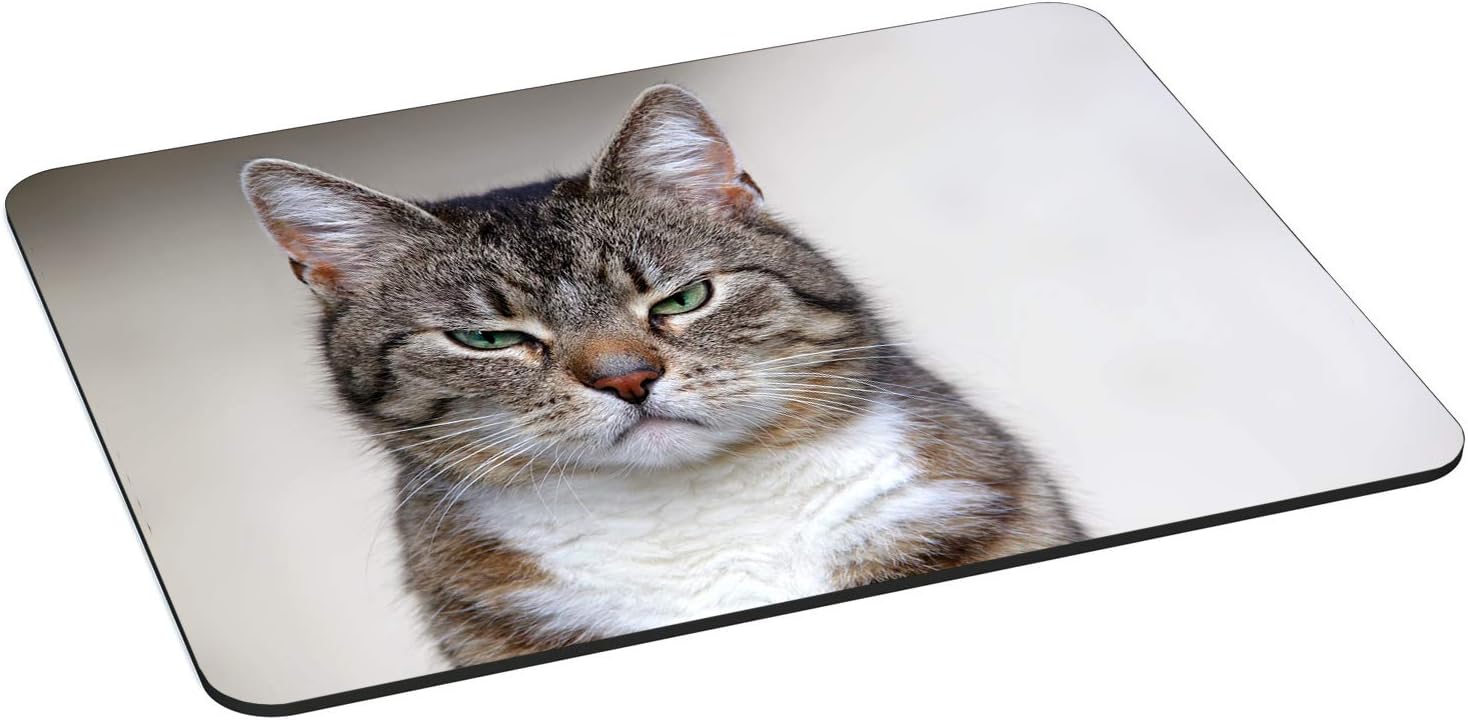 PEDEA Gaming and Office Mouse Mat - 350 x 280 mm - with Stitched Edges and Non-Slip Backing, Cat, 35 x 26 cm