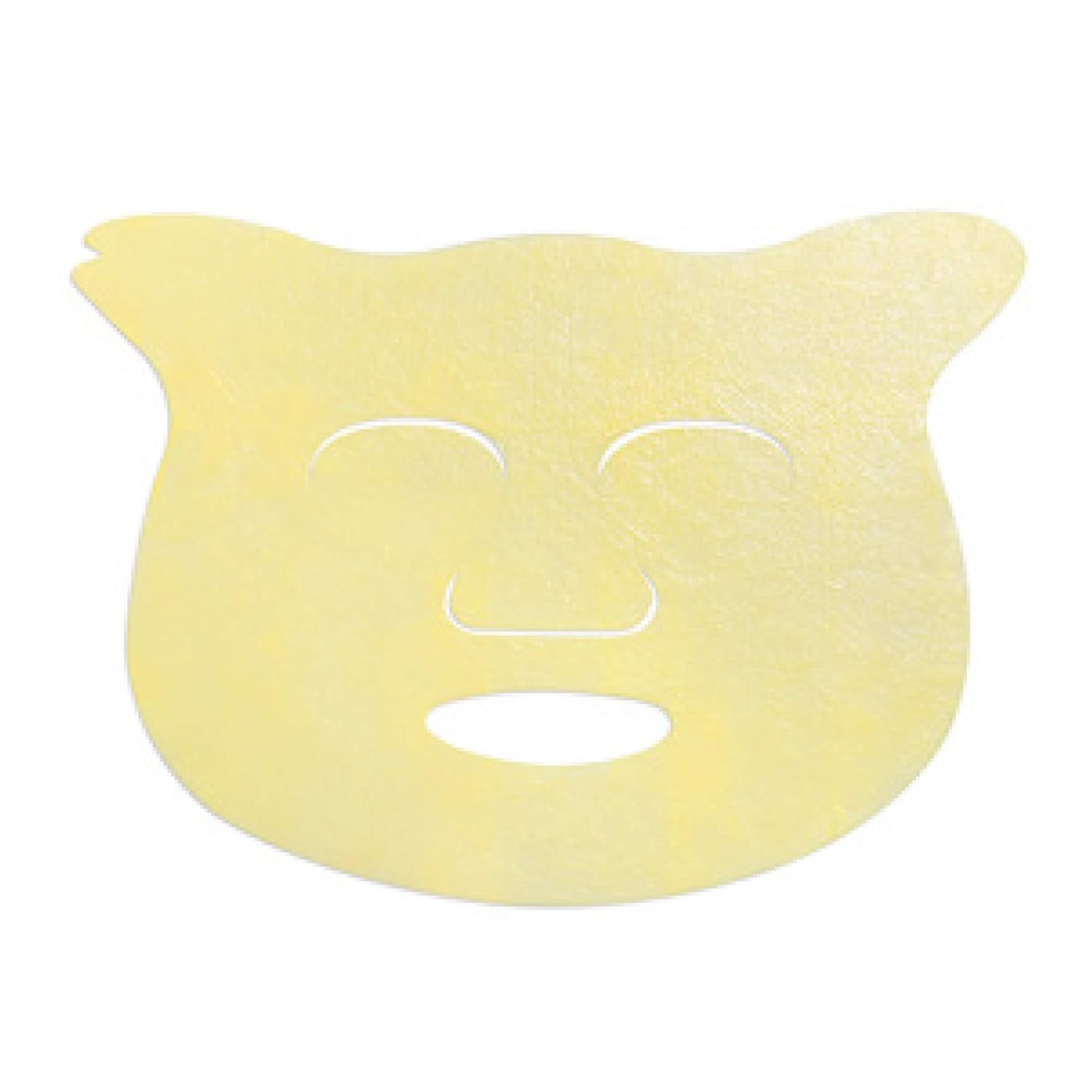 Amazon Com Dhc 5 Piece Pack Q10 Mask Beauty