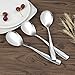 Nicesh 8-Piece Stainless Steel Large Buffet Serving Spoon, Large Kitchen Spoon