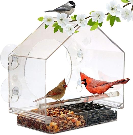 Amazon Com Bird Feeding House Cage Shape Transparent Bird