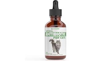 IVITAMINS Cat Antibiotic for Infections, UTIs, Respiratory Moments, Cold, & Allergies | Antibiotics for Cats of All Ages & Breeds | Chicken Flavor | 1 fl oz | (1)