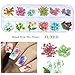 MissBabe 2Pack/24 Different Colors Natural Real Dried Flowers Nail Art Decoration Sticker for 3D Nail Art Acrylic UV Gel Tips